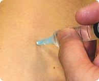 �g���K�[�|�C���g���ˎʐ^