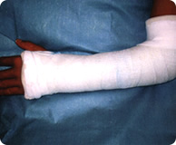 �k�萮����O�Œ�ʐ^