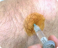 �ό`���G�֐ߎʐ^