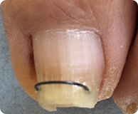 �����܎ʐ^